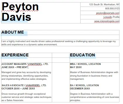 Resume Template 