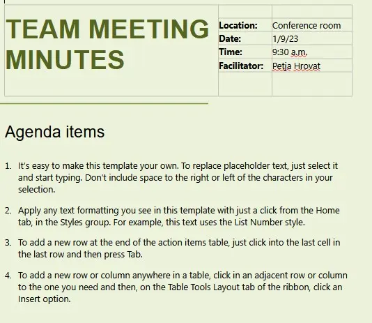 Team Minutes of Meeting