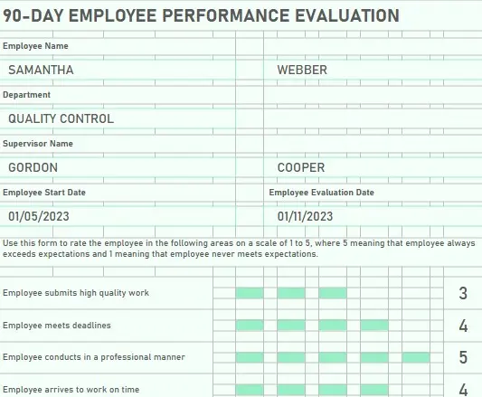 Evaluation Form - First 90 Days