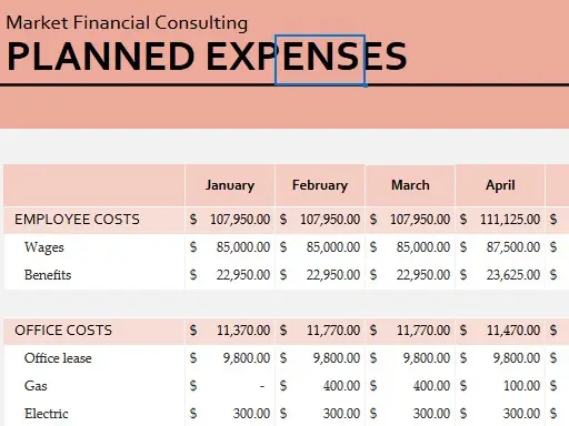 Annual Business Budget