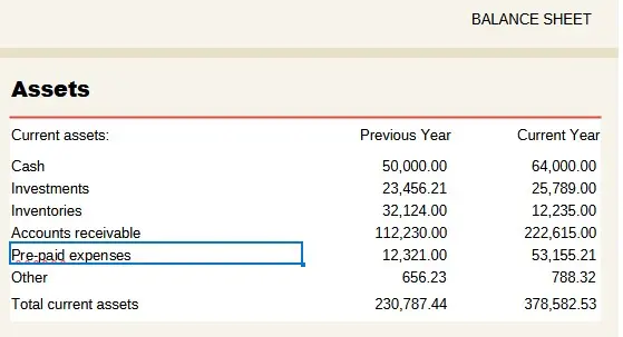 Annual Business Balance Sheet