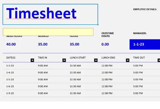 Employee Daily Time Sheet