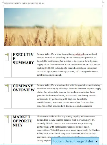 Business Plan Template